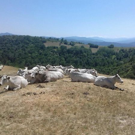 Residenza Anastasia Ceva Εξωτερικό φωτογραφία